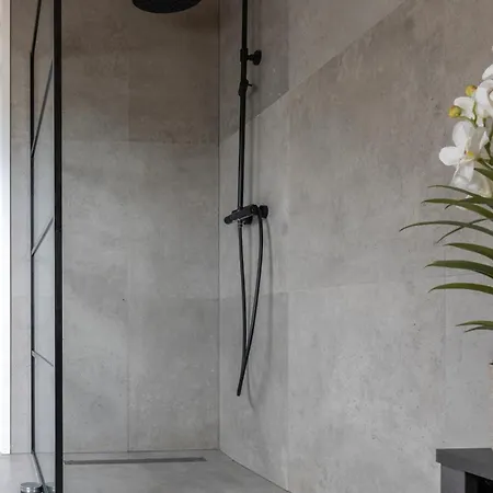 Newly Built Nature Design Villa, Wifi Ledeacker
