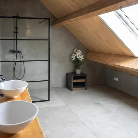 Newly Built Nature Design Villa, Wifi Ledeacker